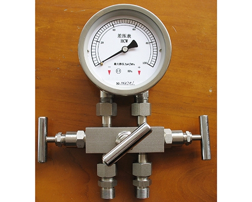 扬州差压表带三阀组