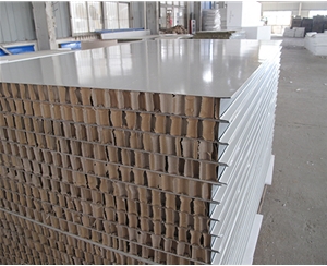扬州扬州50厚1150型纸蜂窝夹芯板